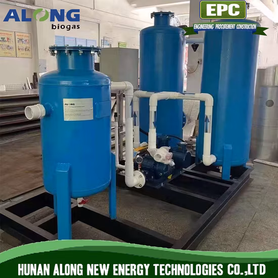 Biogas Desulfurization System/De-Moisture/Pressure Adjust Combined Treatment Equipment