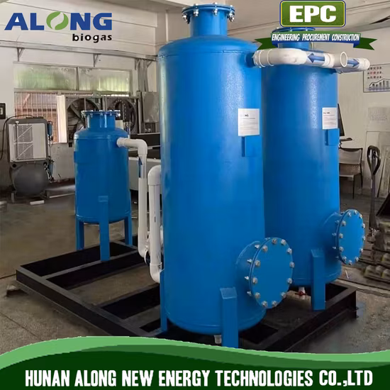 Biogas Desulfurization System/De-Moisture/Pressure Adjust Combined Treatment Equipment