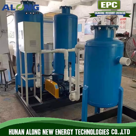 Biogas Desulfurization System/De-Moisture/Pressure Adjust Combined Treatment Equipment